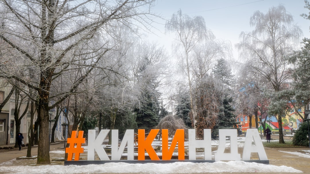 Professionelle Reinigung von Polstermöbeln und Sofas